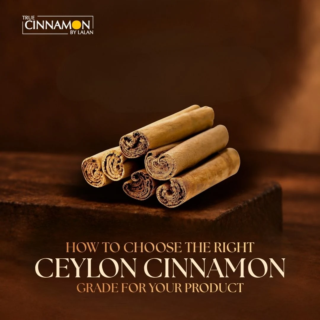 How to Choose the Right Ceylon Cinnamon Grade for Your Product