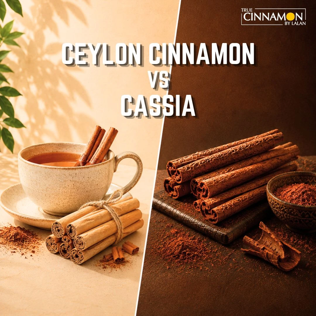 Ceylon Cinnamon vs Cassia for Food Manufacturers: Quality, Flavour, Coumarin & Cost